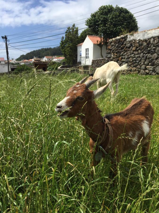 The Azores Homestead - Terceira Santa Barbara  Exterior foto